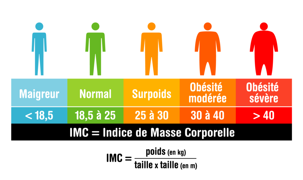 L'indice de masse corporelle (IMC)